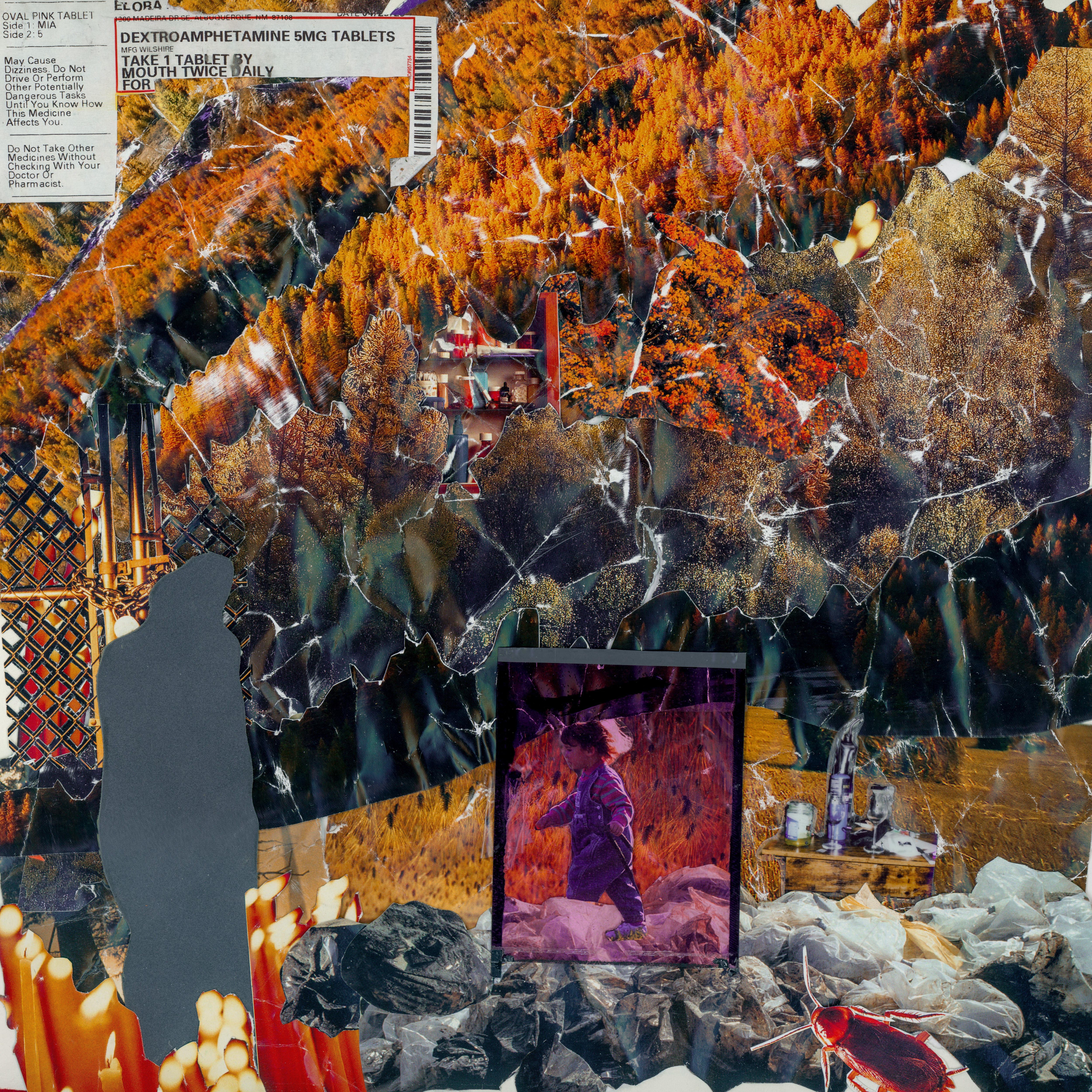 leaves album cover